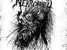 Nekrofilth - Devil's Breath - Green Splatter LP +Poster Death Thrash Grind Metal