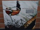 CIRCA SURVIVE - Juturna, Limited DLX ORANGE/WHITE HAZE VINYL Gatefold + Download