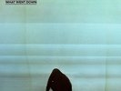 FOALS - WHAT WENT DOWN (VINYL - SEALED)