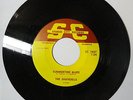 The Shandells Here Comes the Pain/Summertime Blues Studio City 1037 WI Garage 45