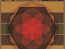 CAUSA SUI Pewt'r Sessions Vol 2 RARE Nasoni sula bassana colour haze white hills