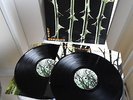 TYPE O NEGATIVE original Vinyl 2LP October Rust (1996)
