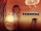Solo Un Grande Sasso - 2 DISC SET - Verdena (2015, Vinyl NUOVO)
