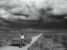 BRUCE SPRINGSTEEN : THE PROMISE   (3 LP Set Vinyl) sealed