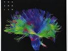 Muse - The 2nd Law   (Vinyl LP / Album) (New)