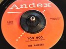 The Raiders / Yoo Hoo / Hocus Pocus 4015 Rare Rockabilly Promo Andex 45 VG hear