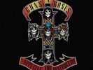 Guns N' Roses - Appetite for Destruction (2008)  Vinyl LP  NEW  SPEEDYPOST