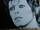 David Bowie RARE Unofficial LP - Thin White Duke Meets Ziggy
