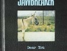 Dear You - Jawbreaker (2016, Vinyl NEU)