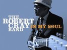 The Robert Cray Band - In My Soul (180 Gr.) Vinyl LP MASCOT LAB NEW