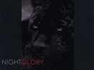 Kirlian Camera: Nightglory - 2LP / Vinyl Klappcover