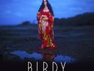BIRDY - BEAUTIFUL LIES  VINYL LP NEW