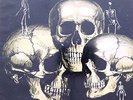 SKULL SNAPS RARE ORIGINAL ISSUE GATEFOLD LP ALBUM (GSF S-1011) My Hang Up Is You
