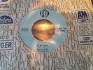 STATUS QUO IN MY CHAIR RARE 7