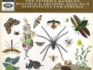 Columbia SAX2562 - Roussel - Spiders Banquet - Andre CLUYTENS - FACTORY SAMPLE