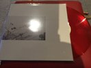 Wild Nothing  Red Vinyl 12