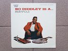 Bo Diddley Is A Lover