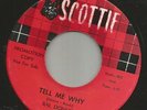 ROCKABILLY TEEN-  RAL DONNER--HIS FIRST RECORD  -HEAR BOTH- 1959 PROMO SCOTTIE