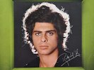 Ricky Shayne - Die Großen Erfolge (LP, Comp) - Vinyl - 106317