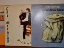 Cat Stevens Complete Discography (11 LP albums)
