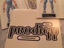 The Prodigy Experience Vinyl