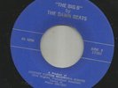 ROCKABILLY SURF TITTYSHAKER INSTROS- DAWN BEATS -HEAR BOTH- CENTURY CUSTOM