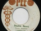 DOUBLE HEAVY / JOHNNY DOLLAR (*Shocks of Mighty*)  DAVE BARKER (Boss Skinhead) ?