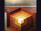 Jagjaguwar - In the Future