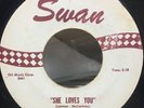 The Beatles PROMO? 45 rpm Record  SWAN 4152 She Loves You I'll Get You