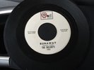 The Malibu's - Runaway / I'm Cryin' Garage Ripper On Quill