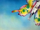 I DIK DIK - Volando - LP 12