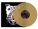 Orchid - Sign of the Witch