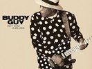 Buddy Guy - Rhythm & Blues