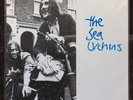 THE SEA URCHINS SOLACE 7