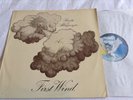 RICOTTI AND ALBURQUERQUE - FIRST WIND PROG.JAZZ ORIG UK.PEGASUS LABEL LP 1971.