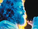 THE DOORS 