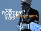 Robert Cray - In My Soul [Vinyl New]