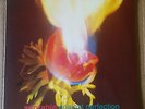 Adorable *Against Perfection* Rare 1993 Vinyl LP|UK Import|CRELP 138|OOP|HTF|