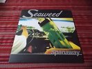 Seaweed Spanaway Vinyl LP Record 1995 grunge/indie rock album post sub pop