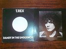 T.REX DANDY IN THE UNDERWORLD Vinyl BLN 5005 EMI Die Cut Sleeve 1976/77