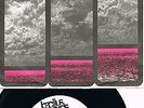 MIDNIGHT CIRCUS * Coloured Is Gay *  Krautrock Single auf Bacillus Records