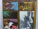 SONIC YOUTH lp Sister _ US SST orig w/insert