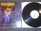 FLESHCRAWL - DESCEND INTO THE ABSURD -  TEST PRESS NO 3/5 - 