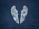 Ghost Stories - Coldplay (2014, Vinyl NEU)