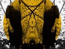 Austra - Feel It Break
