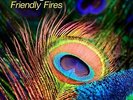 VARIOUS ARTISTS**LATE NIGHT TALES: FRIENDLY FIRES (180 G/RM/ W/CD)**2 VINYL SET