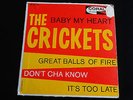 THE CRICKETS 