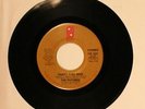 THE FUTURES Party Time Man 45 Vinyl Philadelphia PIR ZS8 366 HEAR B-361