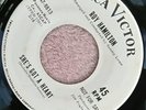 ROY HAMILTON - SHE'S GOT A HEART. RCA VICTOR Demo . 7