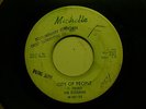 Rare Michigan Garage Single The Illusions 45 City of People/Wait Till the Summer